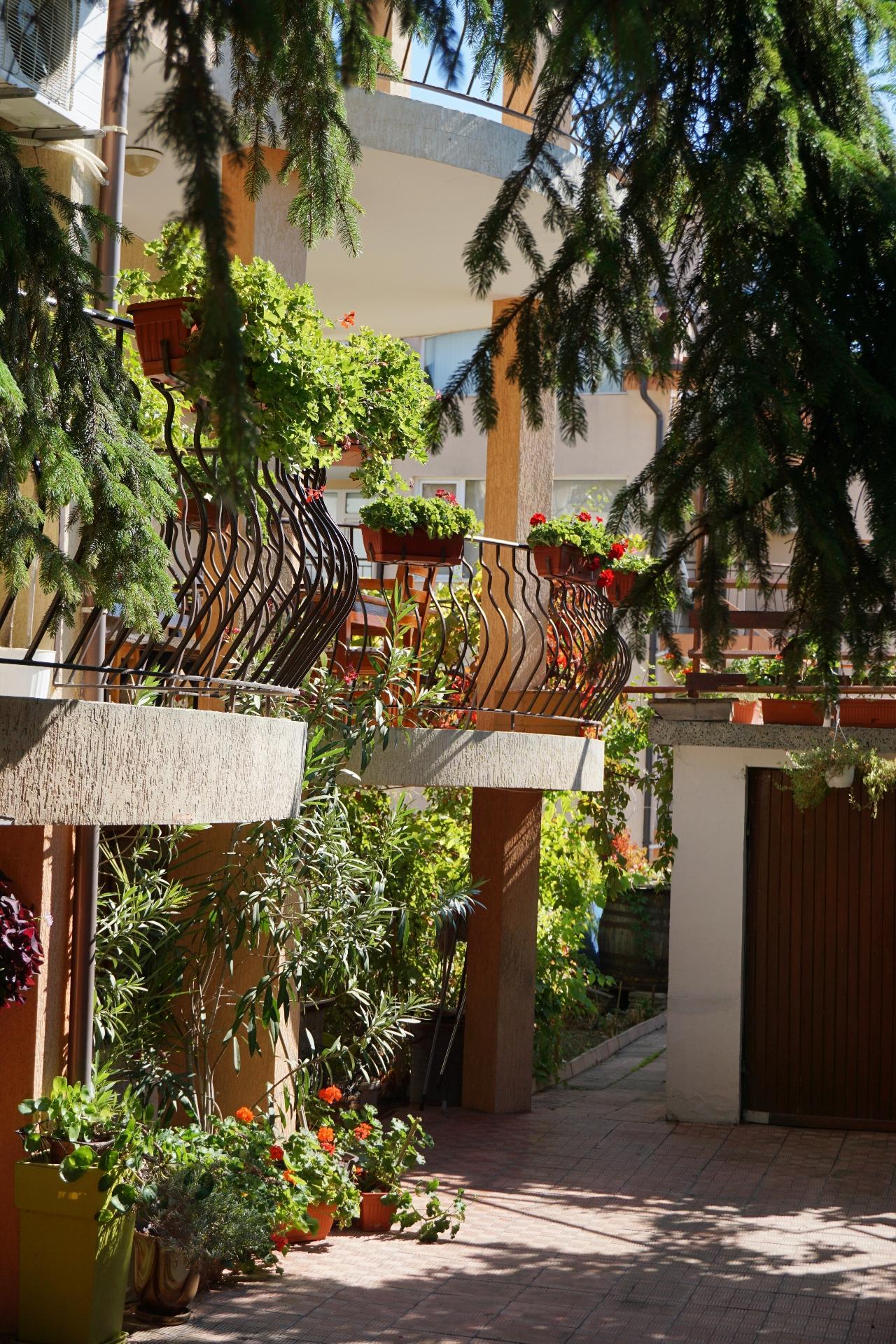 Kalina Guest Rooms Sozopol Esterno foto