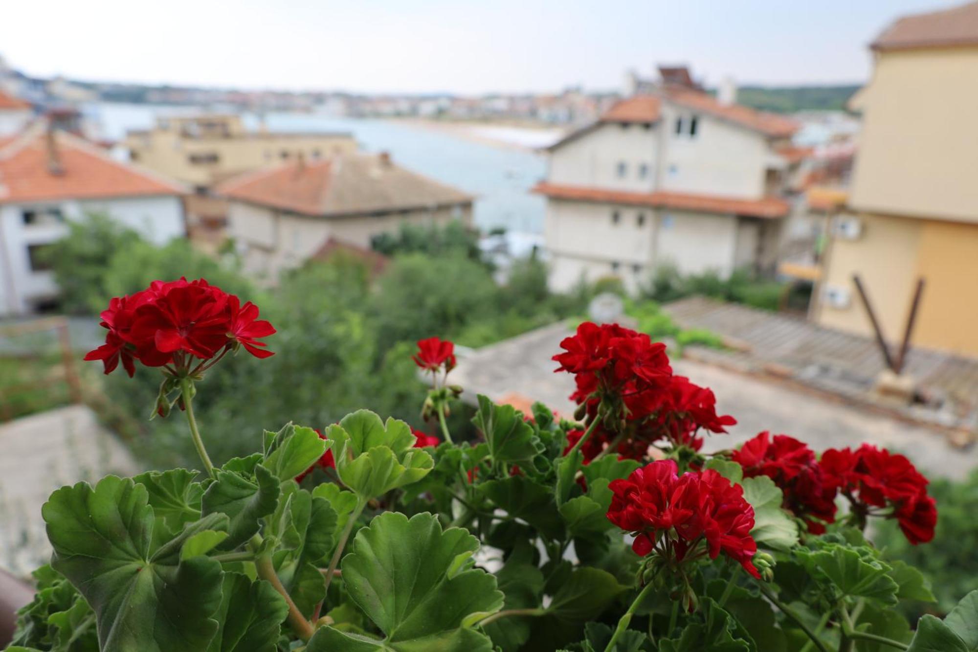 Kalina Guest Rooms Sozopol Esterno foto